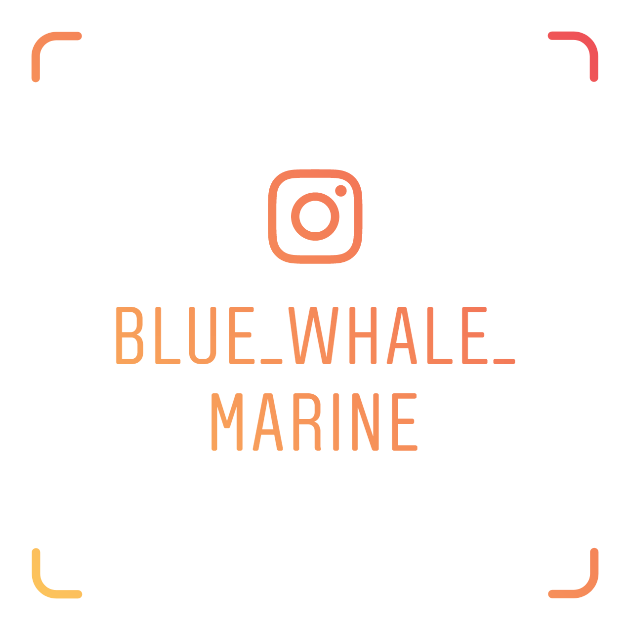 Blue Whale Instagram Image
